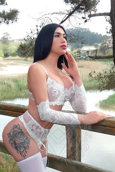 Foto del sito personale toptransclass.it di  Anastasia Reali 346 3659305