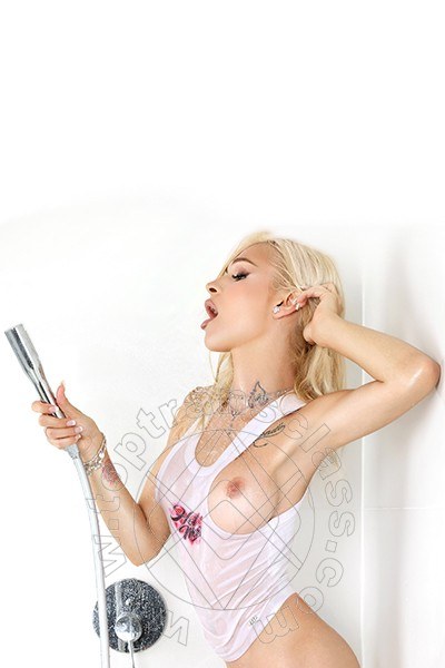 Foto del sito personale toptransclass.it di  Alice  Barbie 393 7501292