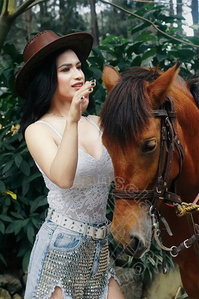 Foto del sito personale toptransclass.it di  Bianca  Ladyboy 393 2233064