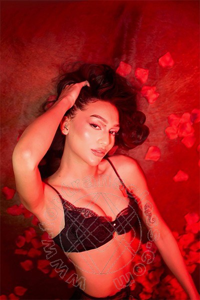 Foto del sito personale toptransclass.it di  Sofhia 351 3478264