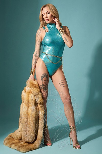 Foto del sito personale toptransclass.it di  Sasha Ysmith 331 2339506