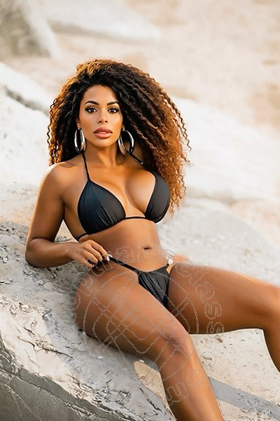 Foto del sito personale toptransclass.it di  Sandra Ravach 334 1547195